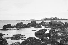 littmer_002
