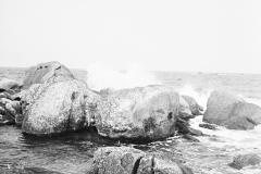 littmer_038