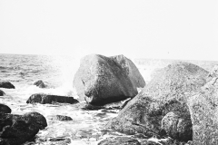 littmer_041